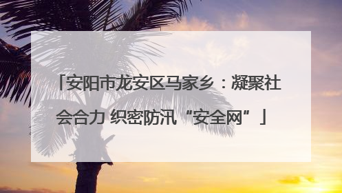 安阳市龙安区马家乡：凝聚社会合力 织密防汛“安全网”